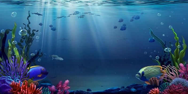 Vua Bắn Cá - Trải Nghiệm Đổi Thưởng Hấp Dẫn Năm 2025 3 Mẹo giúp người dùng trải nghiệm đi săn hiệu quả